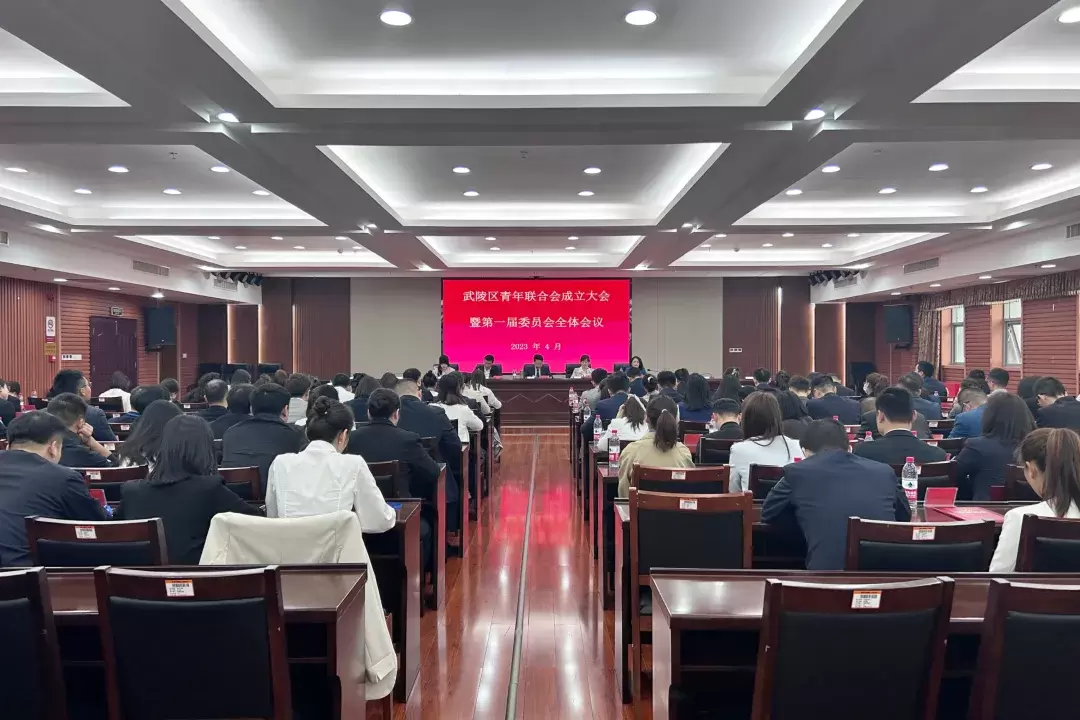 武陵区青年联合会正式成立