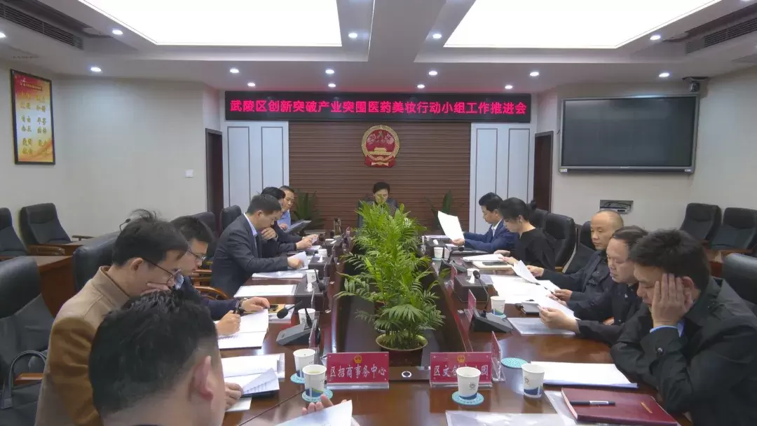 【创新突破 产业突围】武陵区召开创新突破产业突围医药美妆行动小组工作推进会