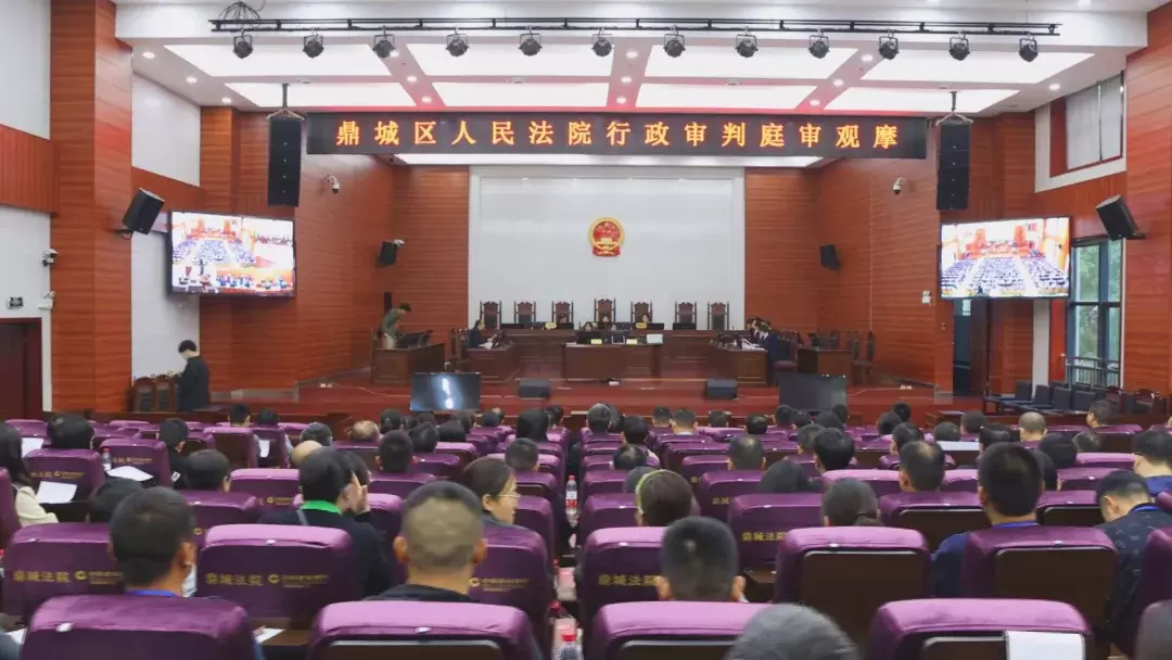武陵区：副区长出庭应诉陈述  “沉浸式”法治教育助力经济发展