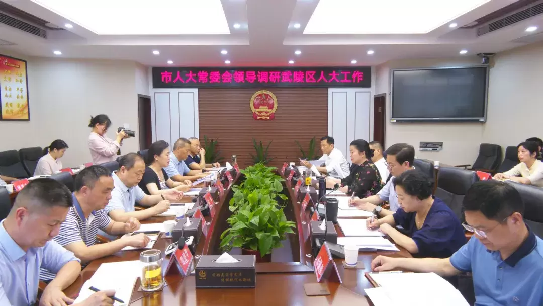 市人大常委会领导调研武陵区人大工作