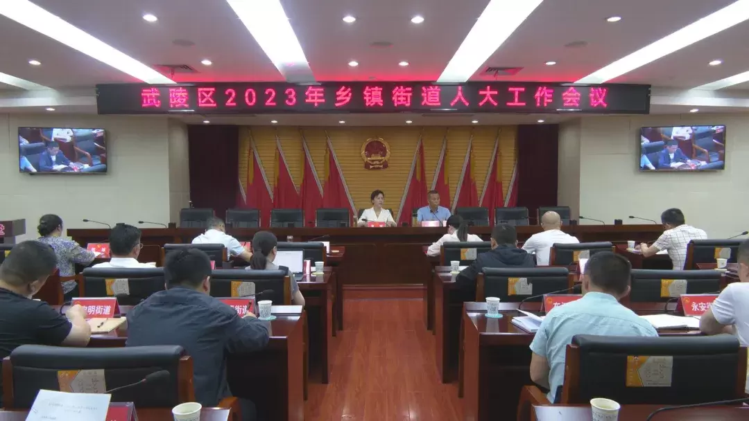 武陵区召开2023年乡镇、街道人大工作会议