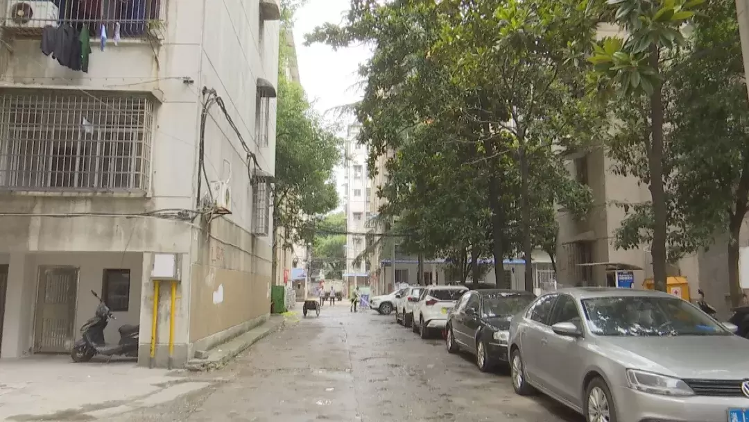 白马湖街道：多方助力拆除违建 齐心共建精致片区
