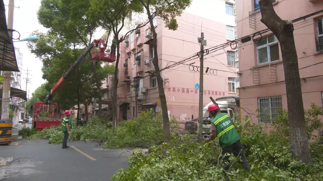 武陵区市政绿化事务中心：修剪树木乱枝 消除安全隐患