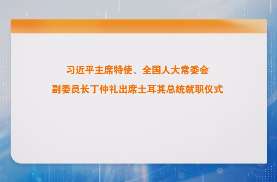 习近平主席特使、全国人大常委会副委员长丁仲礼出席土耳其总统就职仪式