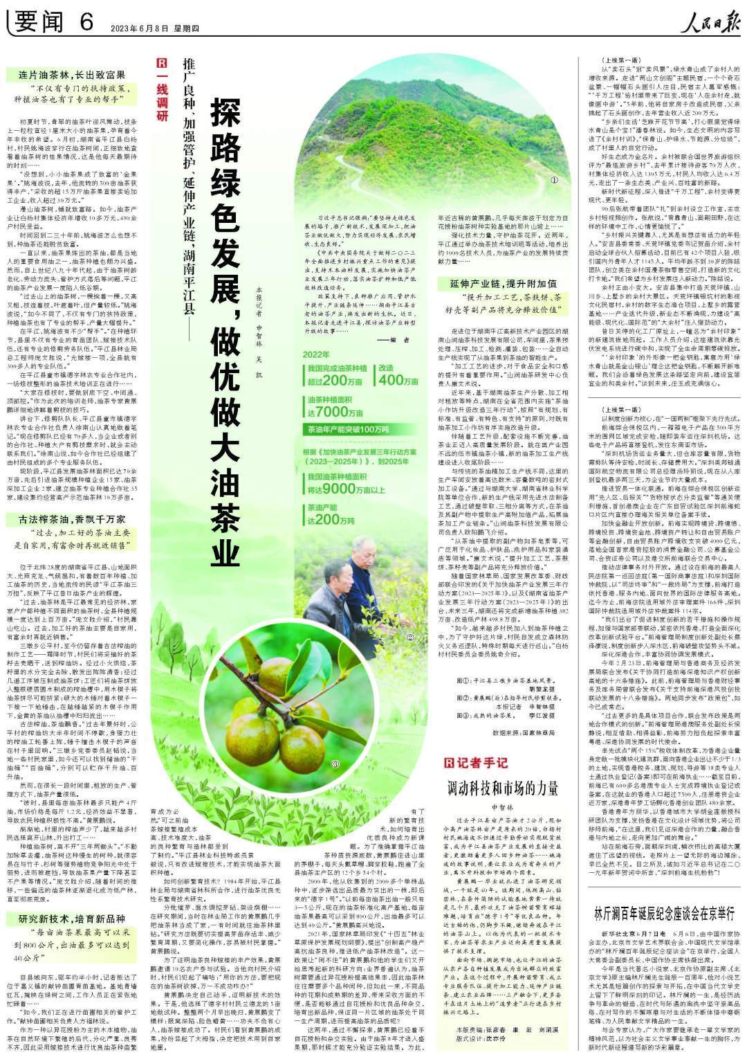 人民日报看湖南丨平江县探路绿色发展，做优做大油茶业
