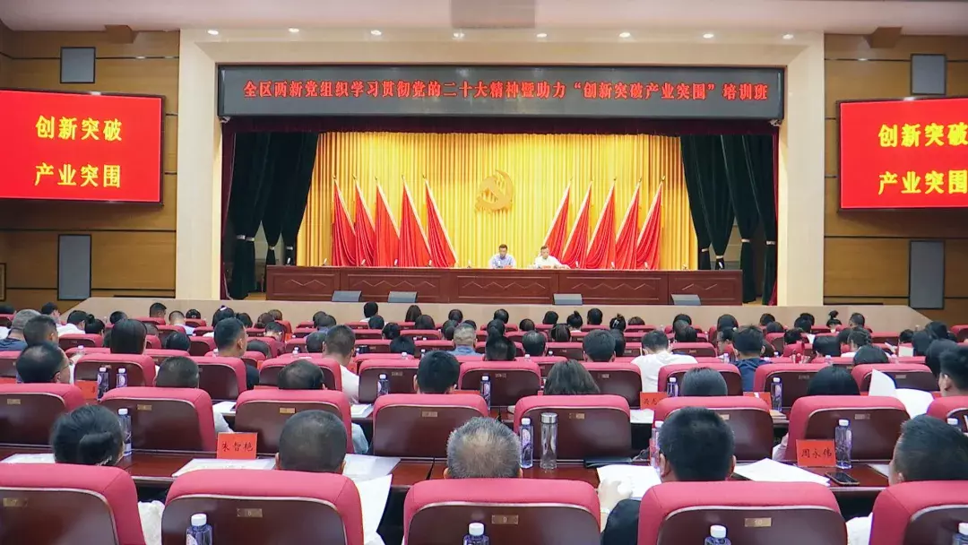 武陵区两新党组织学习贯彻党的二十大精神暨助力“创新突破产业突围”培训班开班