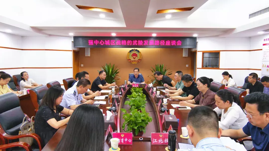 武陵区政协召开强中心城区战略的武陵发展路径座谈会