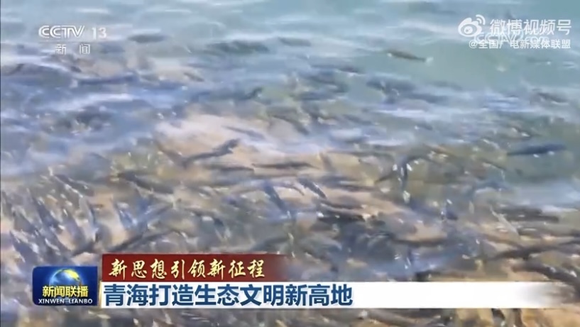 【新思想引领新征程】青海打造生态文明新高地