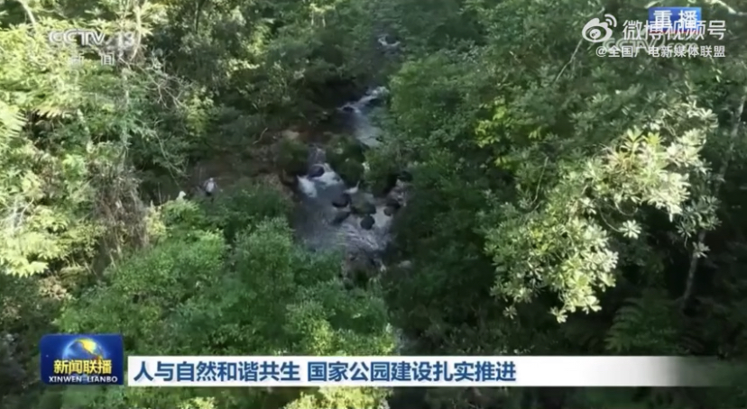 人与自然和谐共生 国家公园建设扎实推进