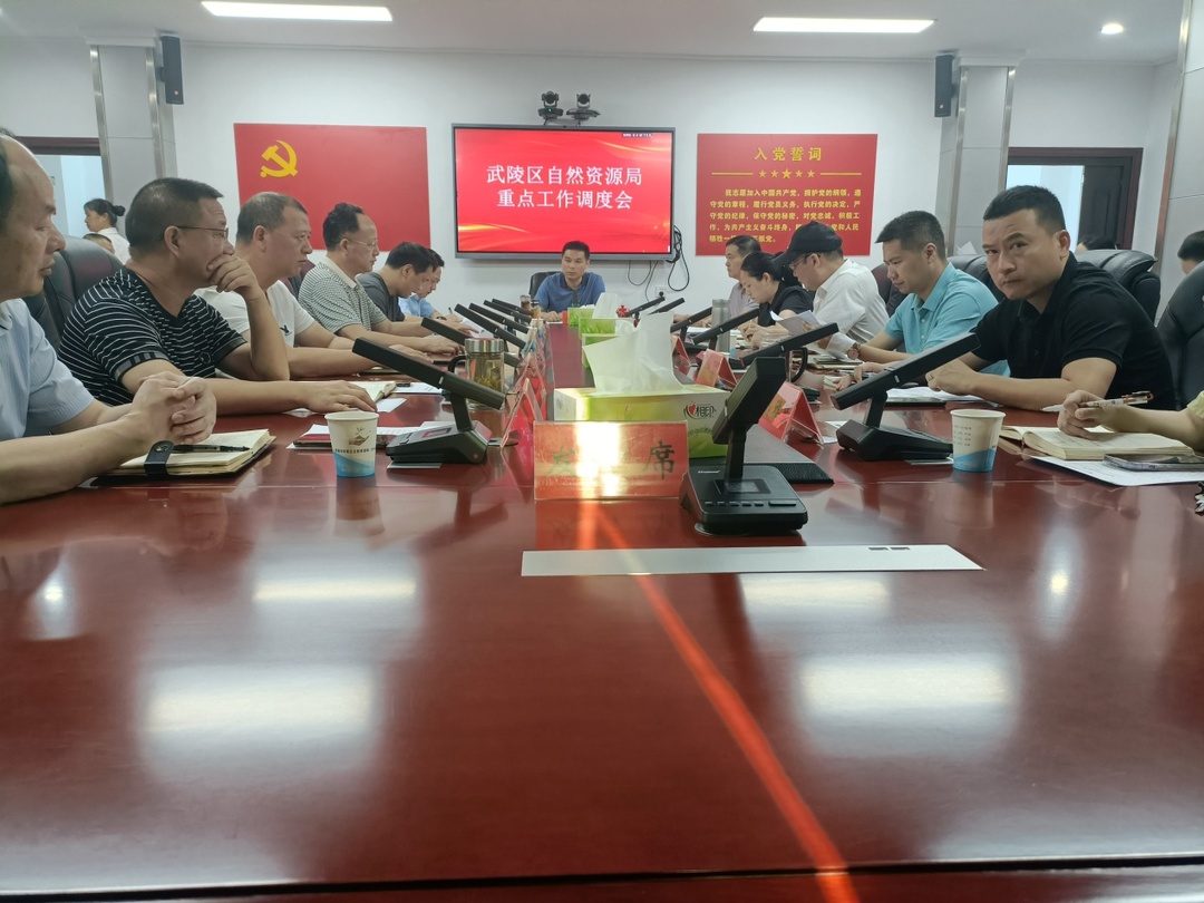 武陵区自然资源局召开2023年上半年工作调度会
