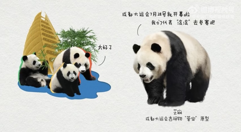 萌翻啦！当“滚滚”组团参加大运……
