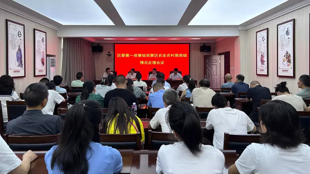 武陵区委第一、二、三巡察组向被巡察单位反馈巡察意见