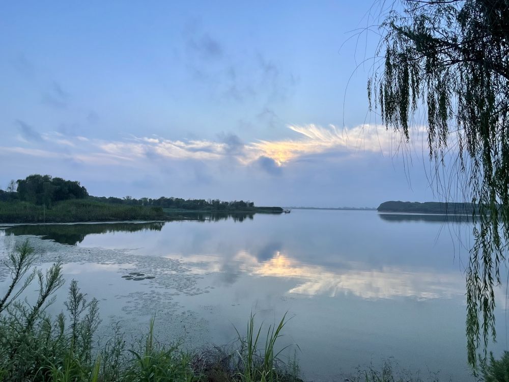 新时代中国调研行·长江篇|“古洞庭”的诗意盛景又回来了