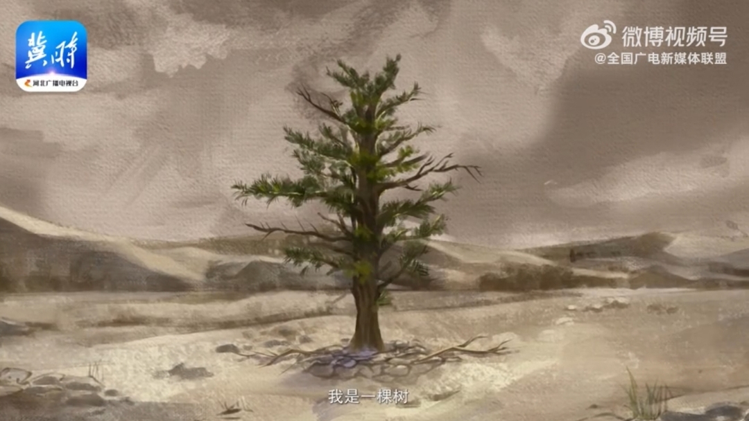 【塞罕坝的树】一种精神 一种信念，是你——把不可能变为可能