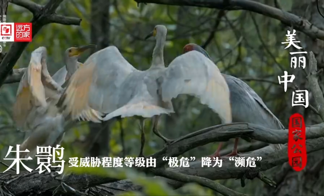 美丽中国远方的家