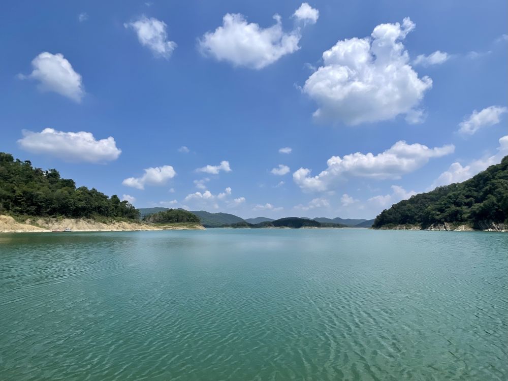 新时代中国调研行·长江篇|湖南常德：探索建立全域湿地保护管理体系