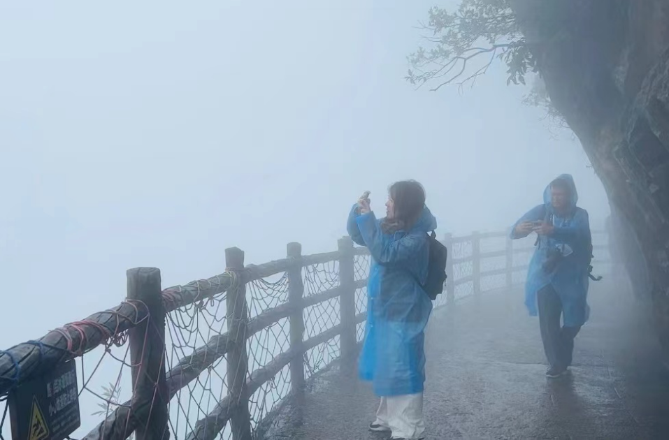 全省新闻战线齐聚郴州：“宜”见钟情 天下莽山