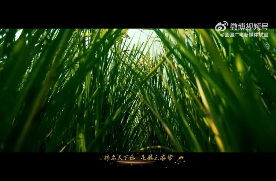 【和美乡村，魅力无限】