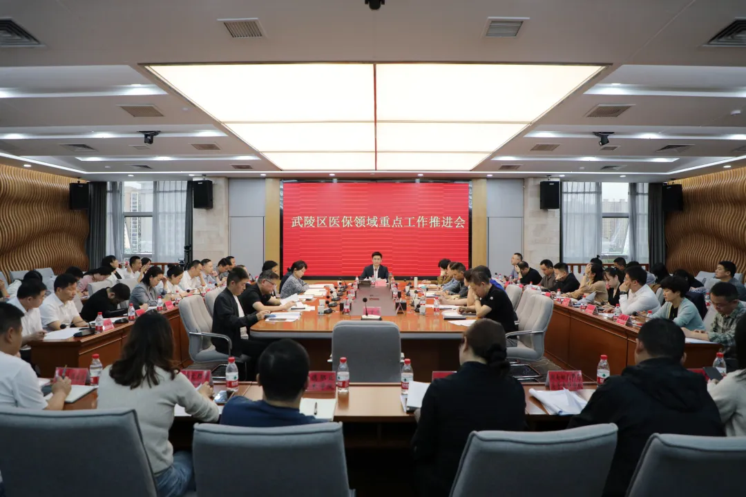 武陵区召开医保领域重点工作推进会