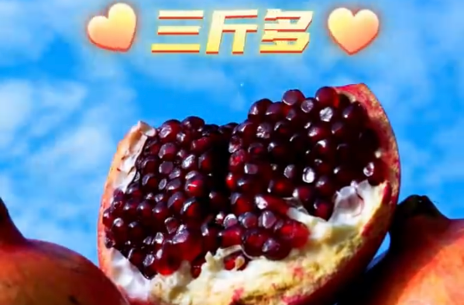 小石榴做成大产业 乡亲们的日子像石榴果一样红红火火