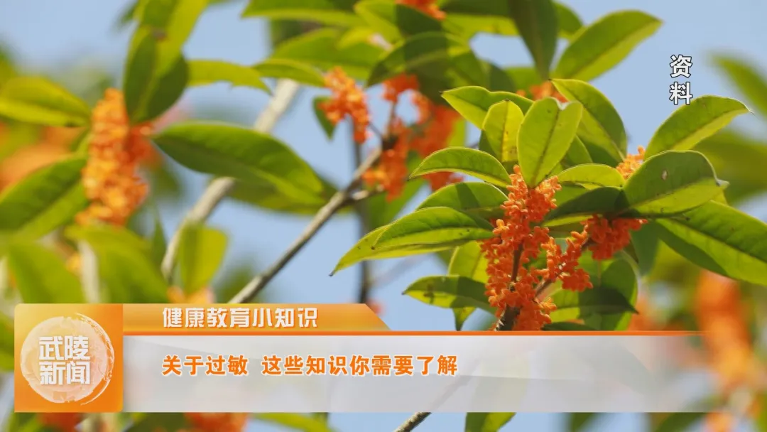 健康教育小知识 关于过敏  这些知识你需要了解
