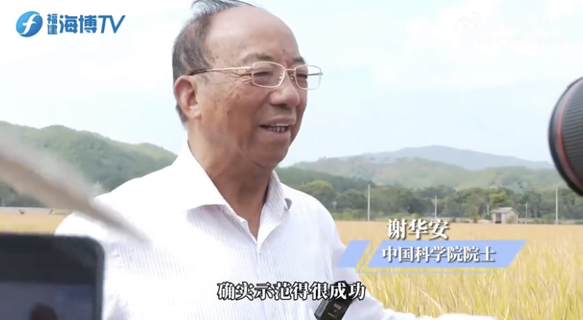 对话谢华安：稻田里的“中国梦”