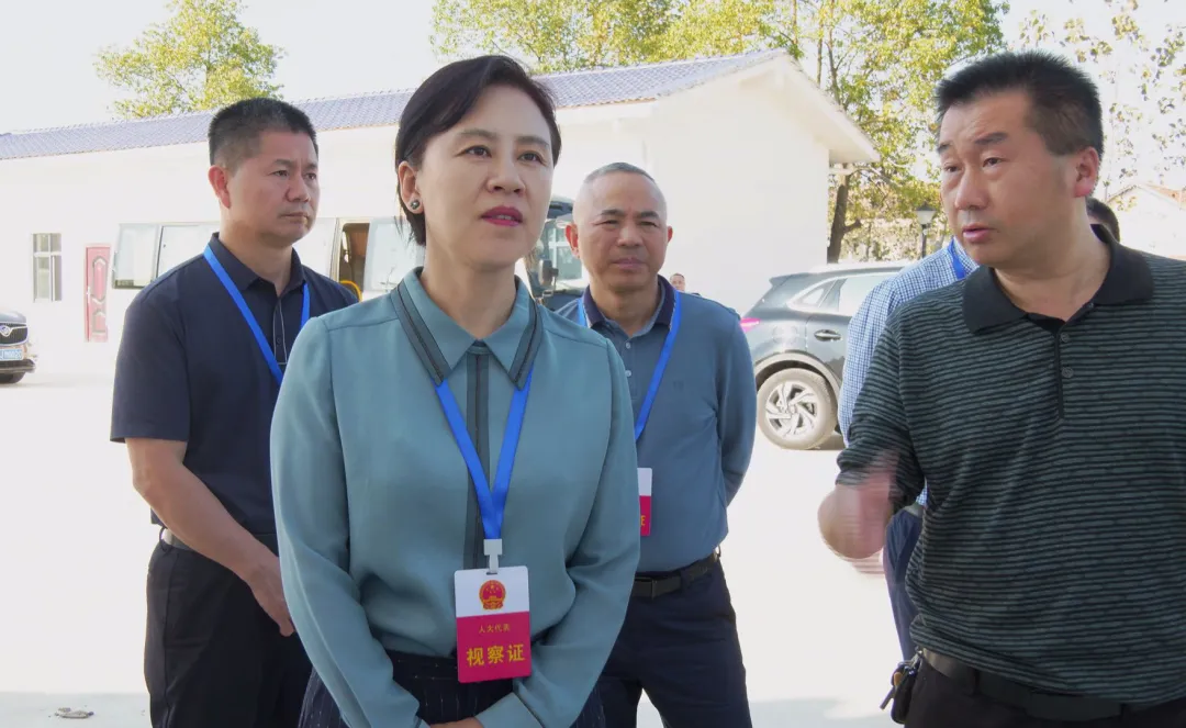 武陵区人大常委会主任会议专题视察水利项目建设工作