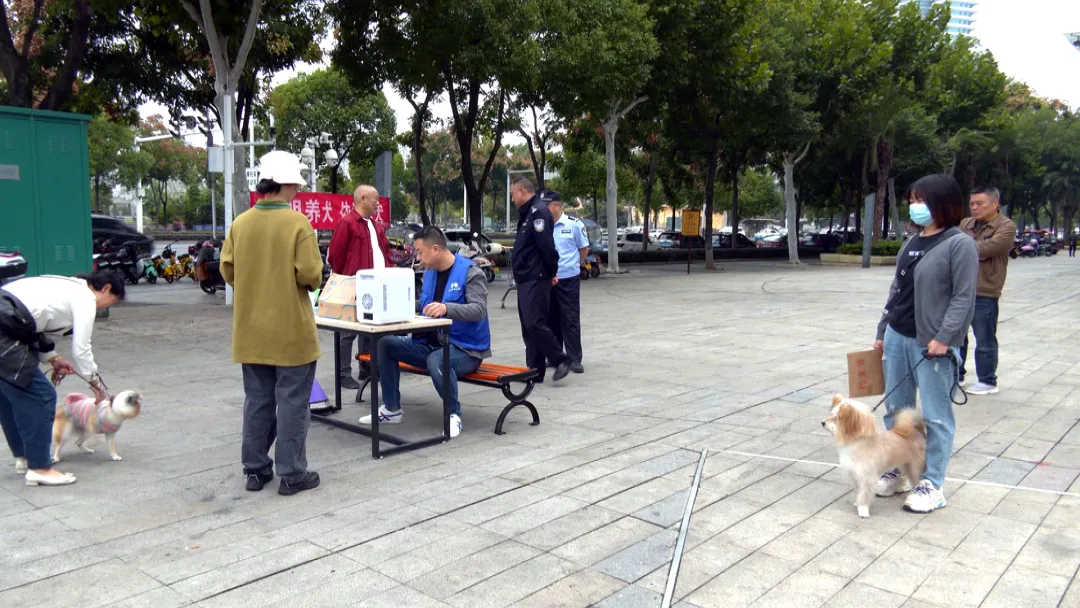 武陵区：养犬登记办证“一站式”服务进小区