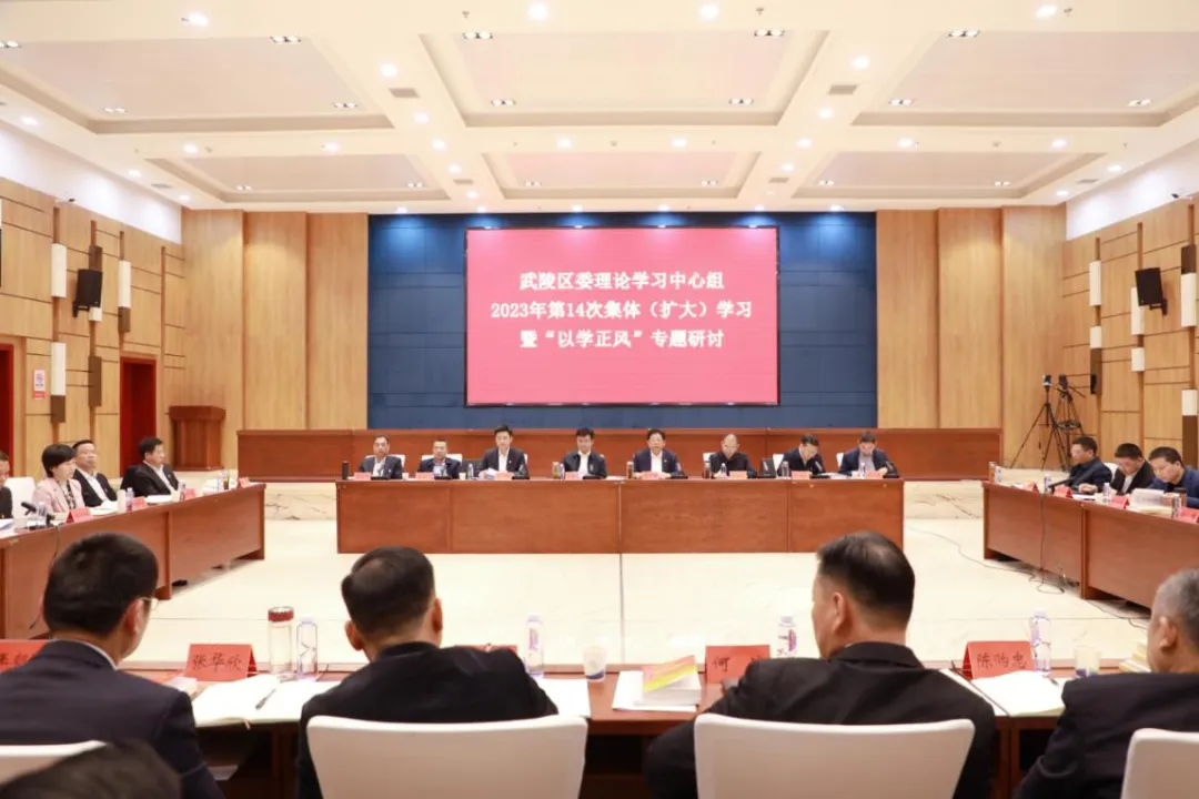 （学思想 强党性 重实践 建新功）武陵区召开区委理论学习中心组2023年第14次集体（扩大）学习暨“以学正风”专题研讨