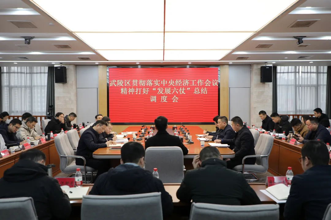 武陵区召开贯彻落实中央经济工作会议精神打好“发展六仗”总结调度会
