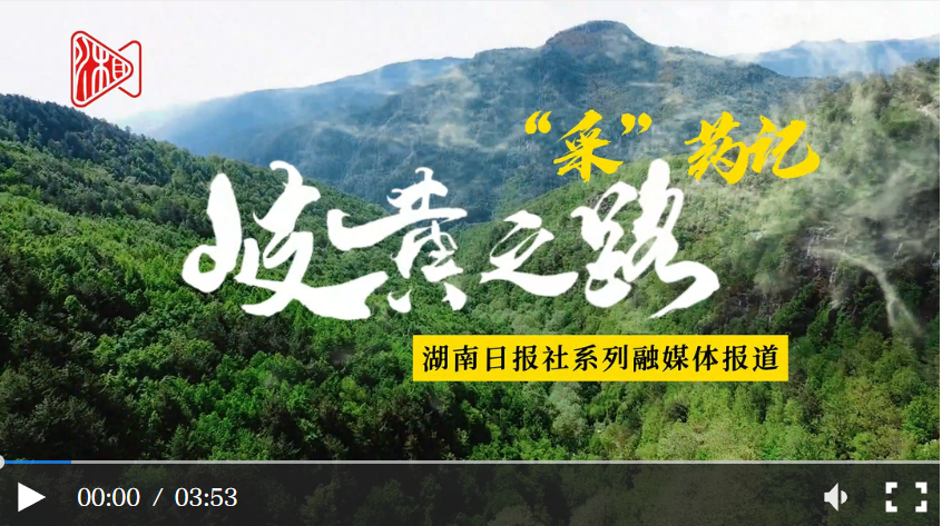 视频｜岐黄之路·“采”药记④：向云端，山那边，采药去