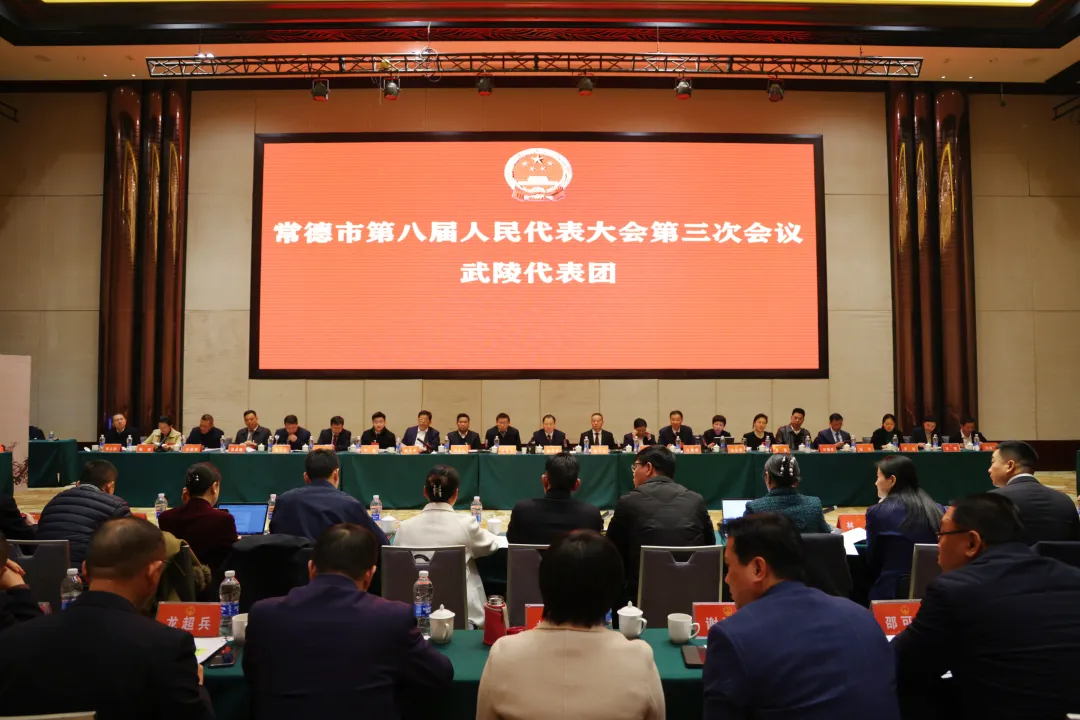 周振宇参加武陵代表团分团审议