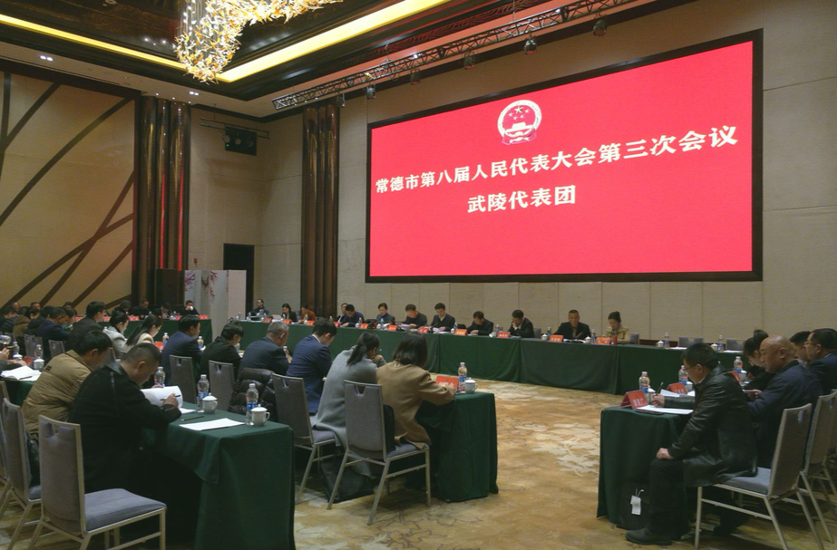 常德市第八届人民代表大会第三次会议武陵代表团开展分团审议