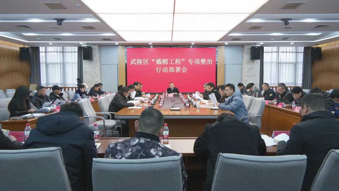 武陵区召开“戴帽工程”专项整治行动部署会