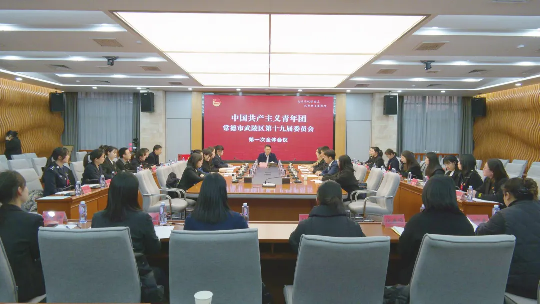 共青团常德市武陵区第十九届委员会第一次全体会议召开