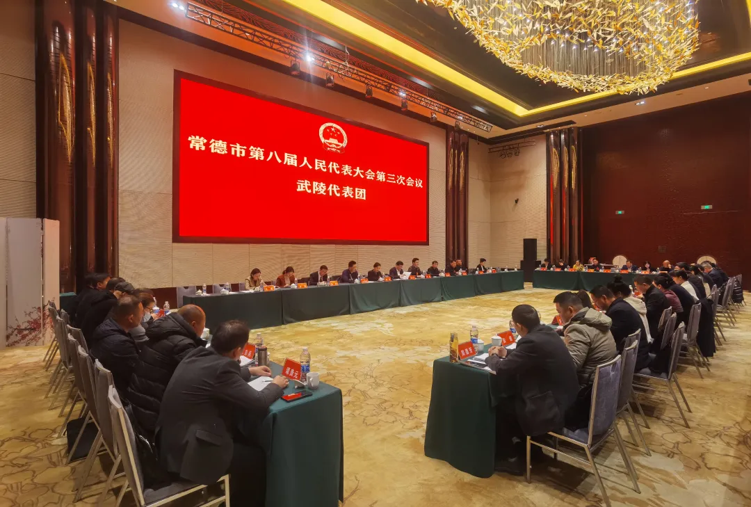 常德市第八届人民代表大会第三次会议武陵代表团继续开展分团审议