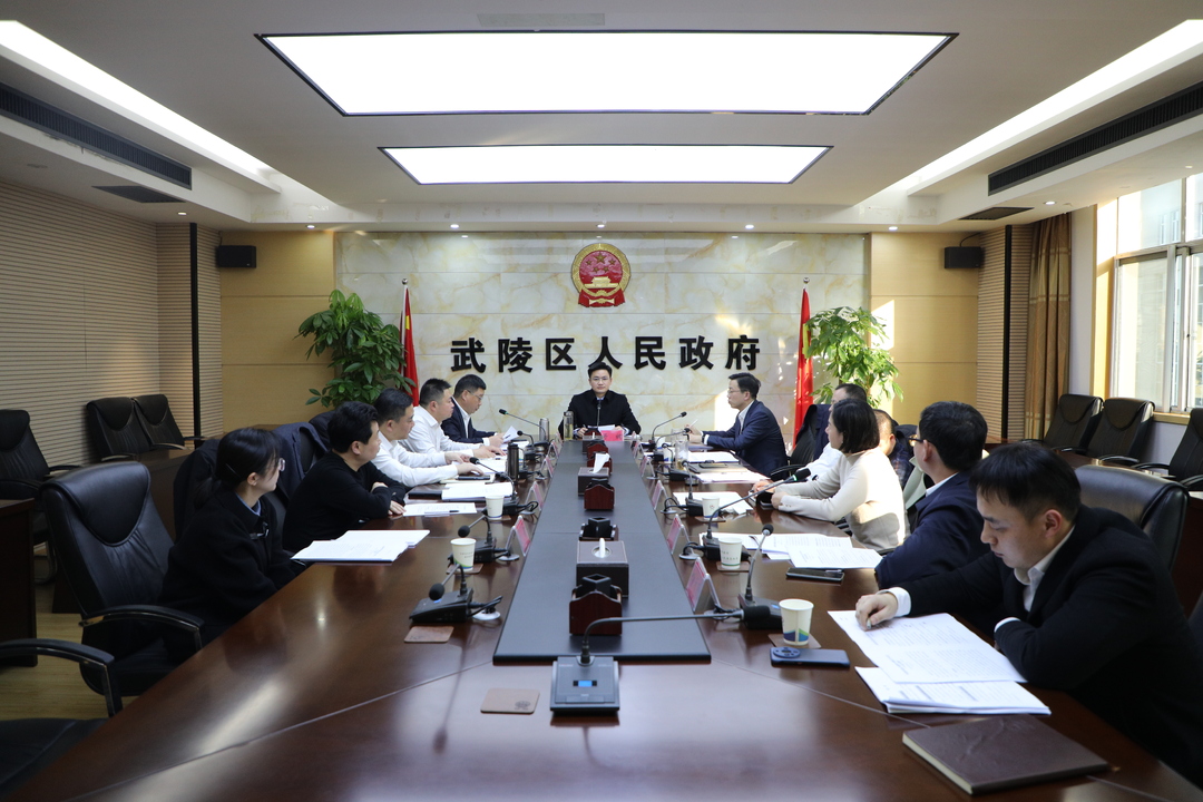 【学思想 强党性 重实践 建新功】 武陵区政府党组班子主题教育专题民主生活会召开