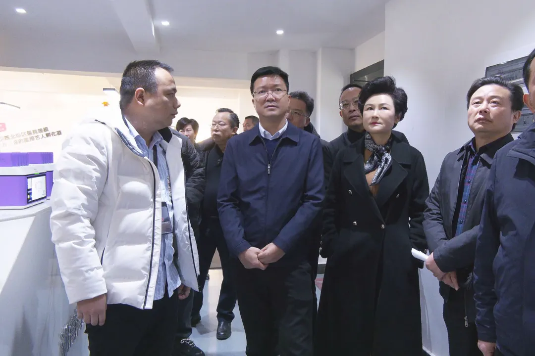 彭晛丹到武陵区开展春节前文化市场综合检查