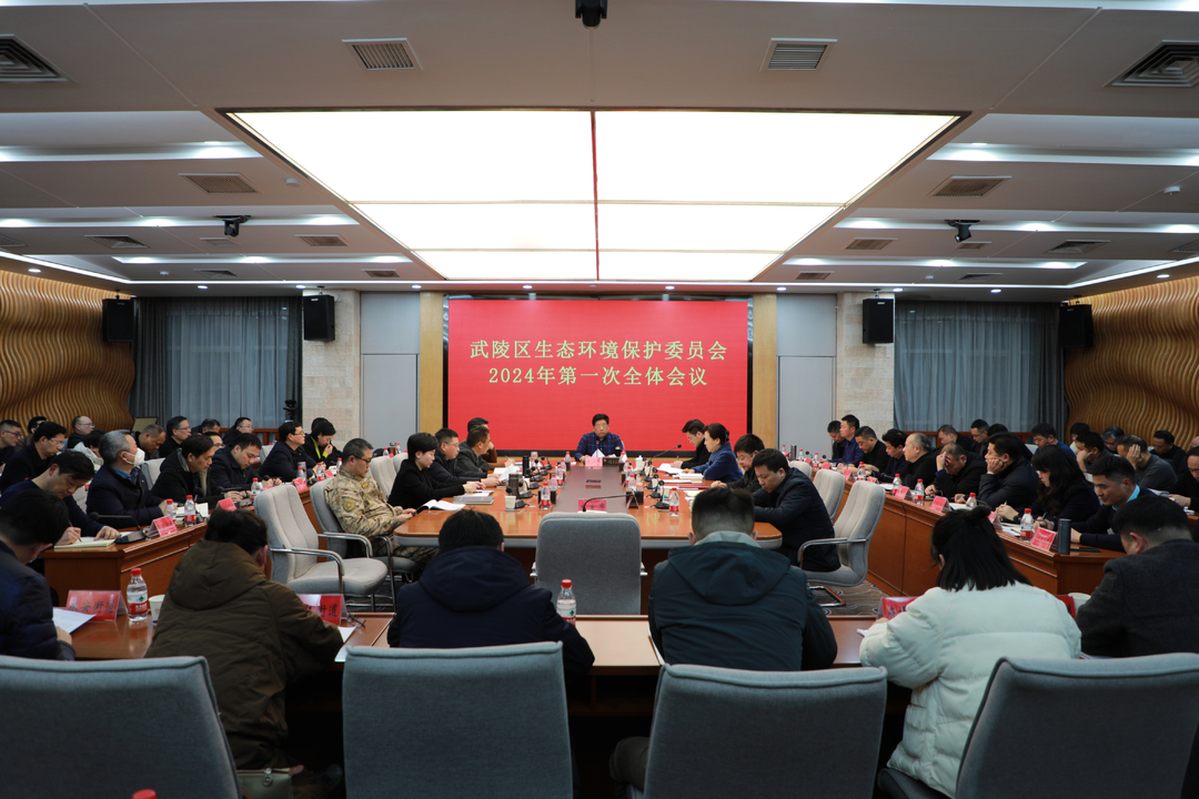 武陵区召开生态环境保护委员会2024年第一次全体会议