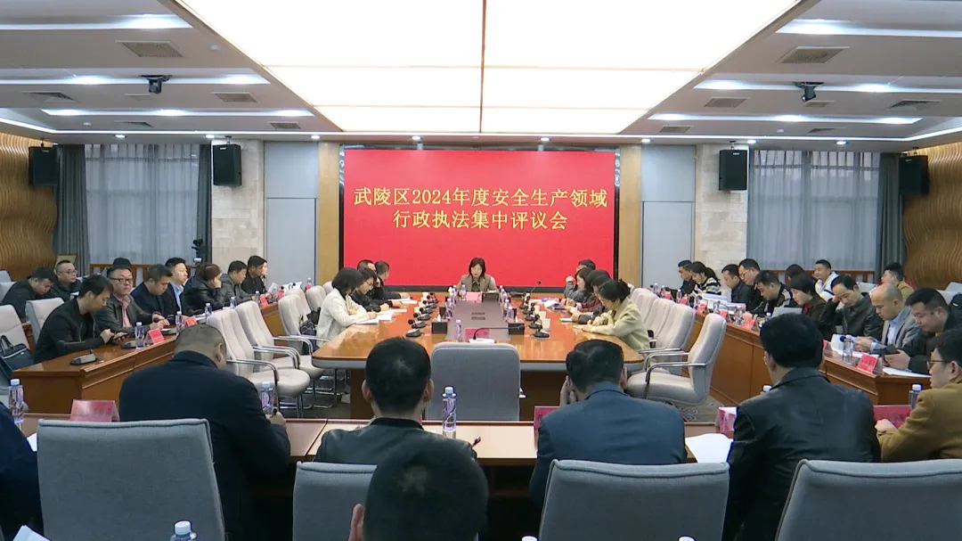 武陵区召开安全生产领域行政执法集中评议会