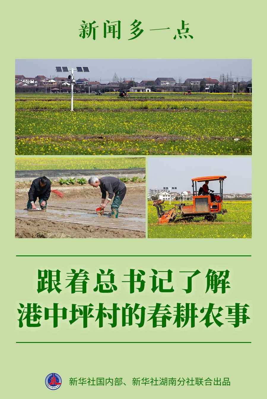 跟着总书记了解港中坪村的春耕农事