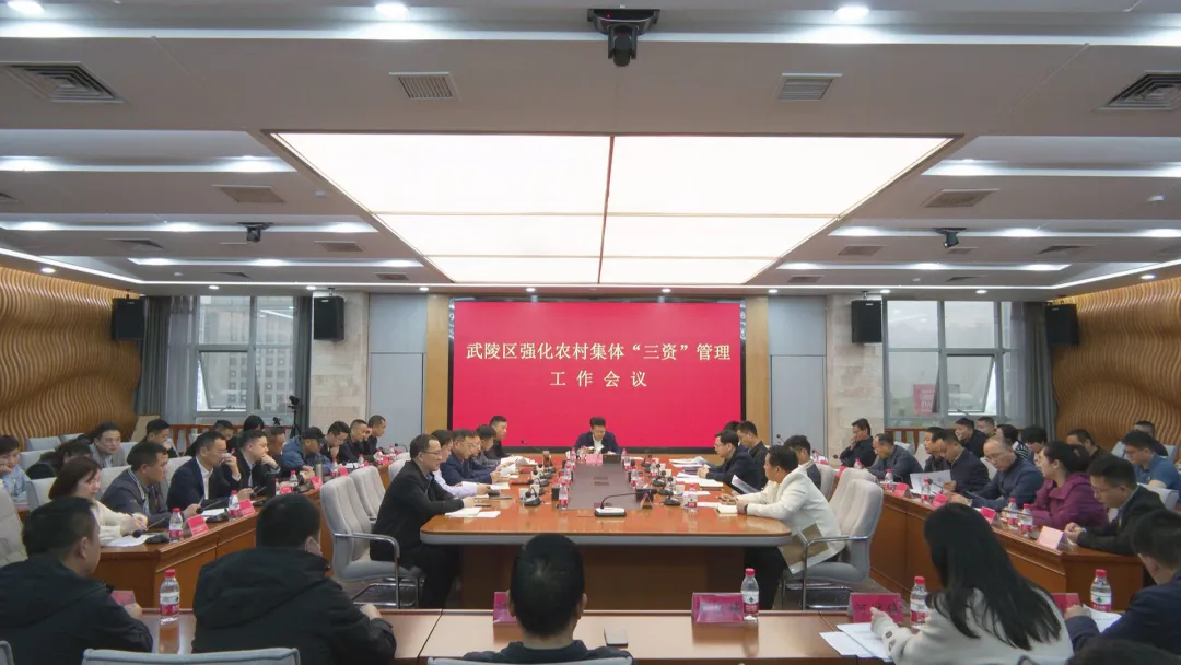 武陵区召开强化农村集体“三资”管理工作会议