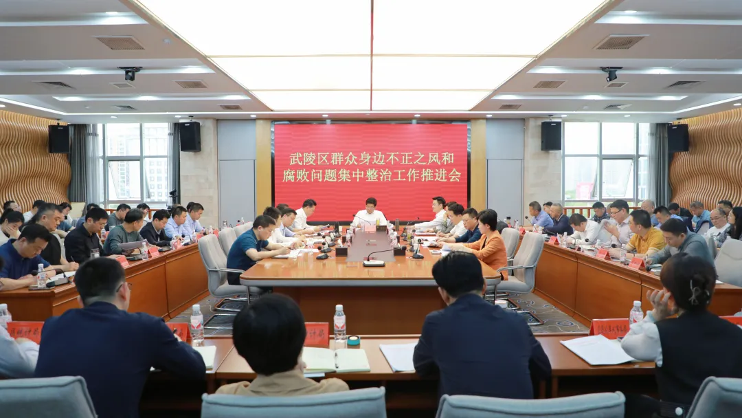 武陵区召开群众身边不正之风和腐败问题集中整治推进会
