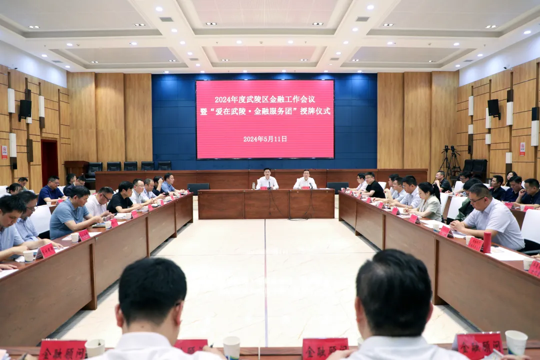 2024年度武陵区金融工作会议暨“爱在武陵·金融服务团”授牌仪式举行