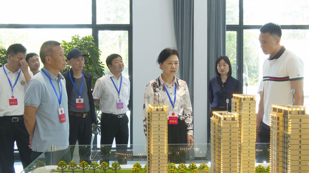 武陵区人大常委会视察政府投资项目执行情况