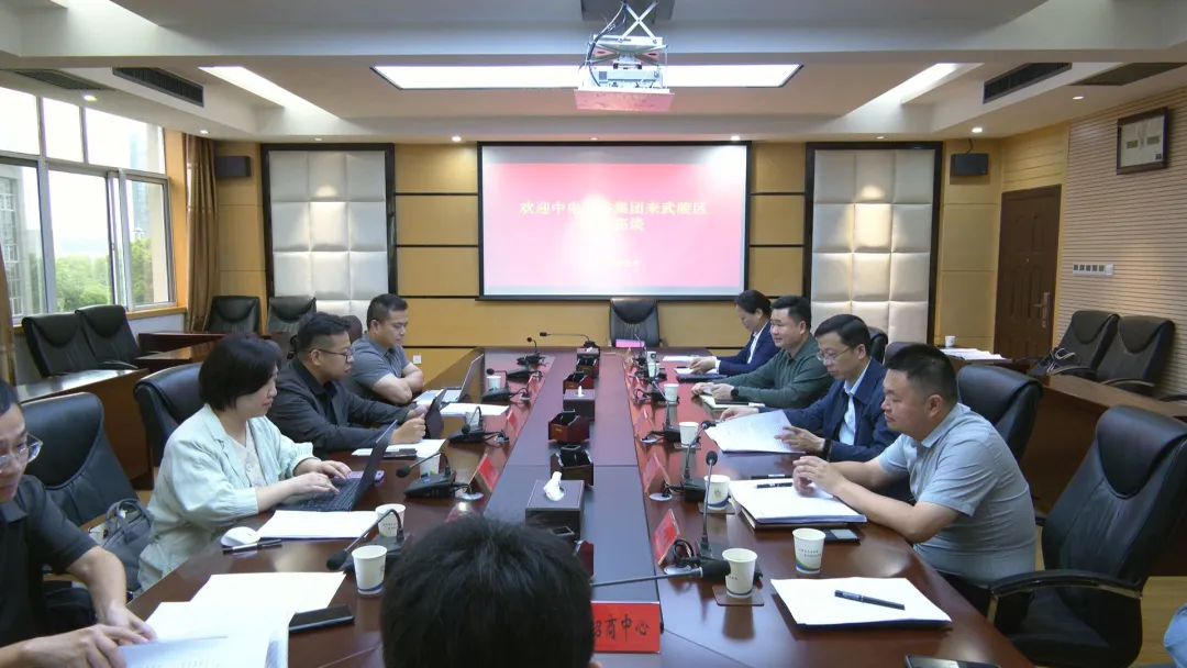 中电光谷集团产业合作中心来武陵区交流洽谈