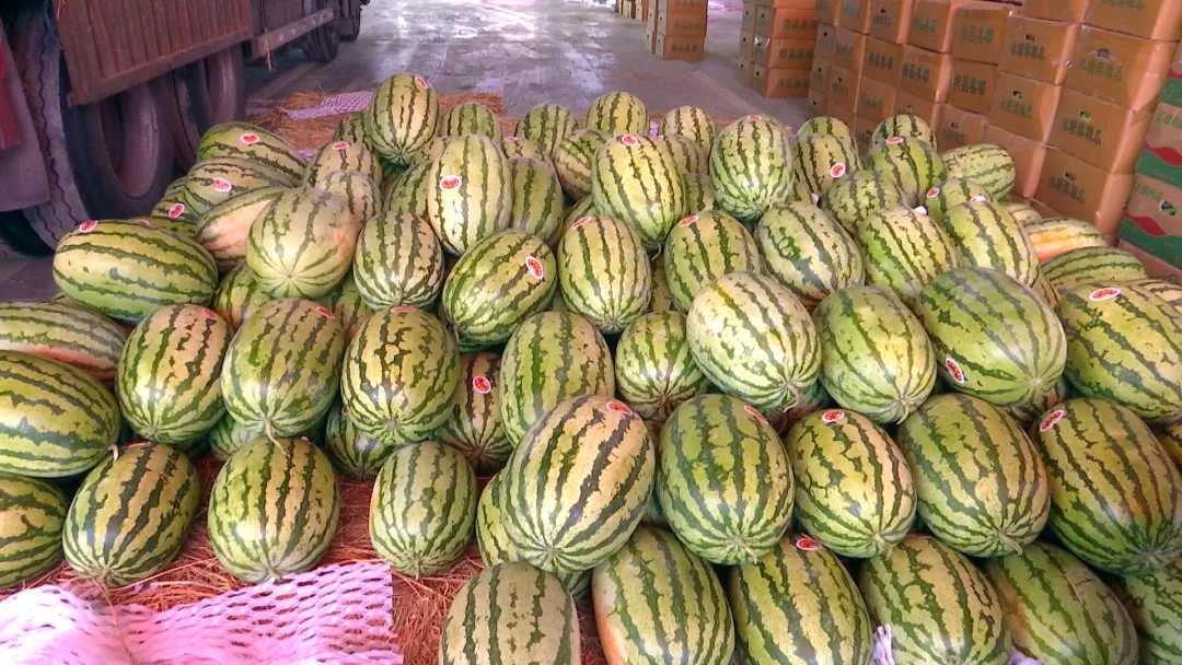 尝鲜正当时 夏季时令水果供销两旺