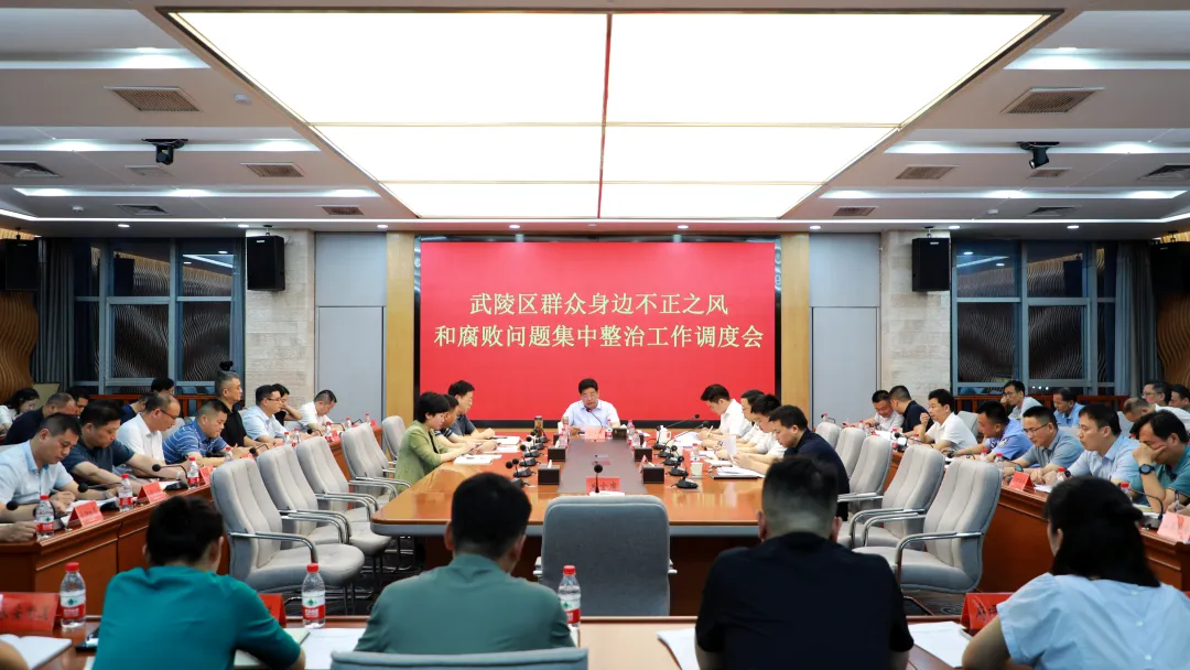 康少中主持召开全区群众身边不正之风和腐败问题集中整治工作调度会