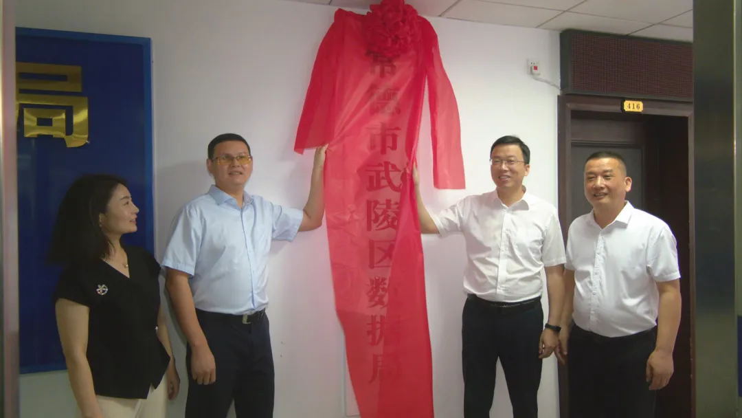 武陵区数据局揭牌成立