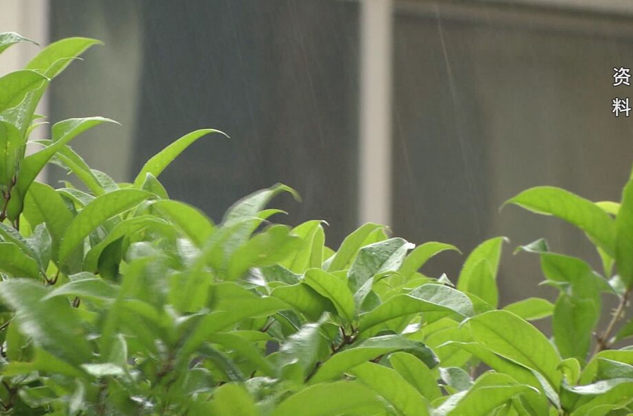 连续强降雨 注意出行安全